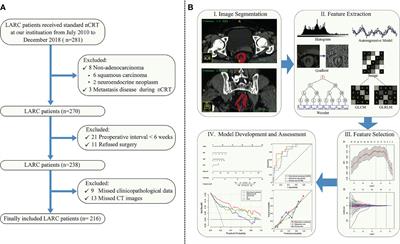 Pre-Treatment Computed Tomography Radiomics for Predicting the Response to Neoadjuvant Chemoradiation in Locally Advanced Rectal Cancer: A Retrospective Study